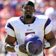 Image for article titled Vikings Sticking With McNabb Because They Hate Him